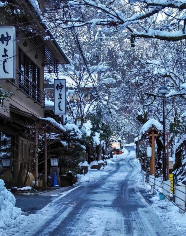 Osaka: Kyoto Private Day Tour with Sagano Scenic Railway - Final Thoughts: Is This Tour for You?