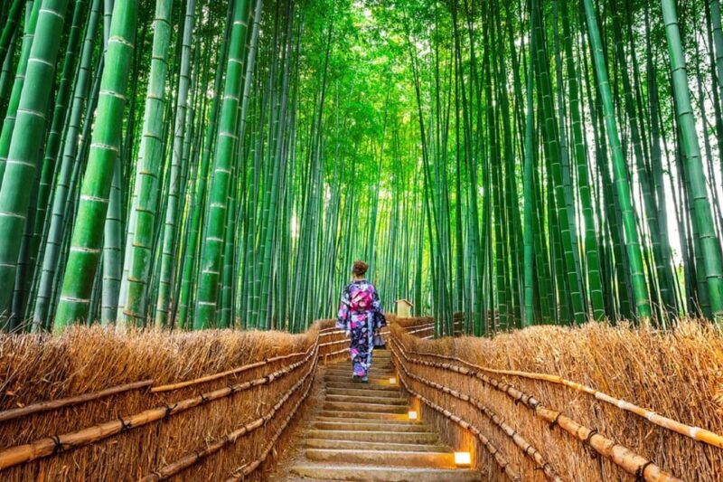 osaka-kyoto-sanzenin-arashiyama-train-bamboo-forest-tour