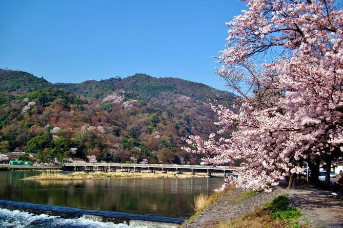 Osaka: Kyoto Scenic Day & Night Bus Tour with dinner (Kobe Beef) - Final Thoughts: Who Will Love This Tour?