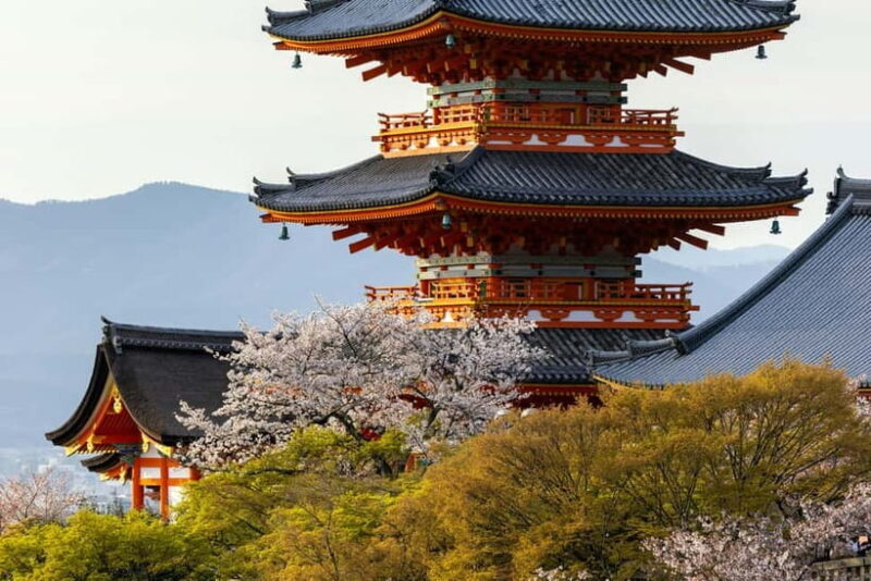 Osaka: Kyoto & Uji Historical Sites and Scenic Delights Tour - Authentic Experiences and Insider Tips