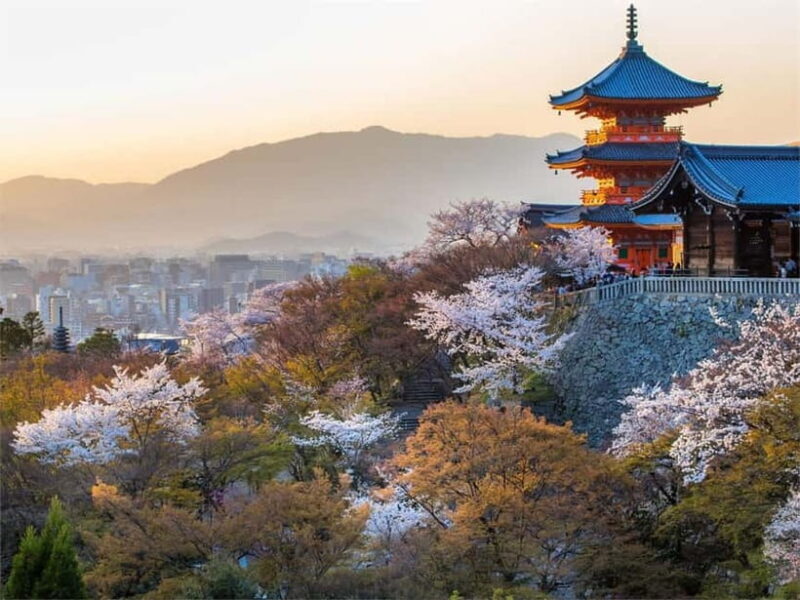 Osaka: Kyoto & Uji Historical Sites and Scenic Delights Tour - The Sum Up: Is This Tour Right for You?