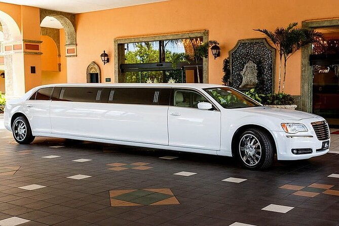 osaka-limousine-photoshoot-party-tour