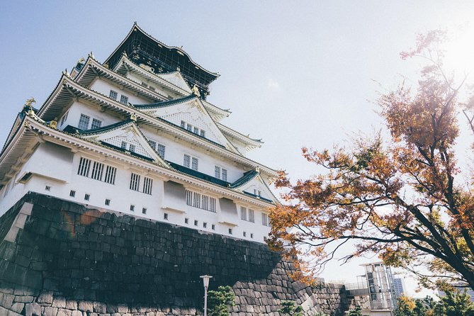 osaka-local-experience-historic-tenma-to-dotonbori-pop-culture