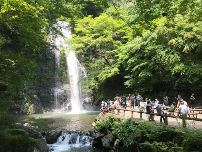 osaka-mino-forest-walk-and-giant-waterfall-with-local-lunch