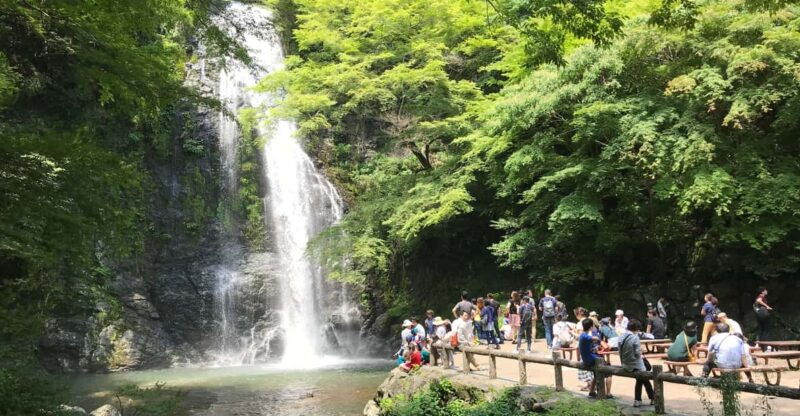 osaka-mino-forest-walk-and-giant-waterfall-with-local-lunch