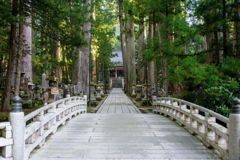 Osaka: Mount Koya & Nachi Waterfalls Day Trip with Guide - Key Points