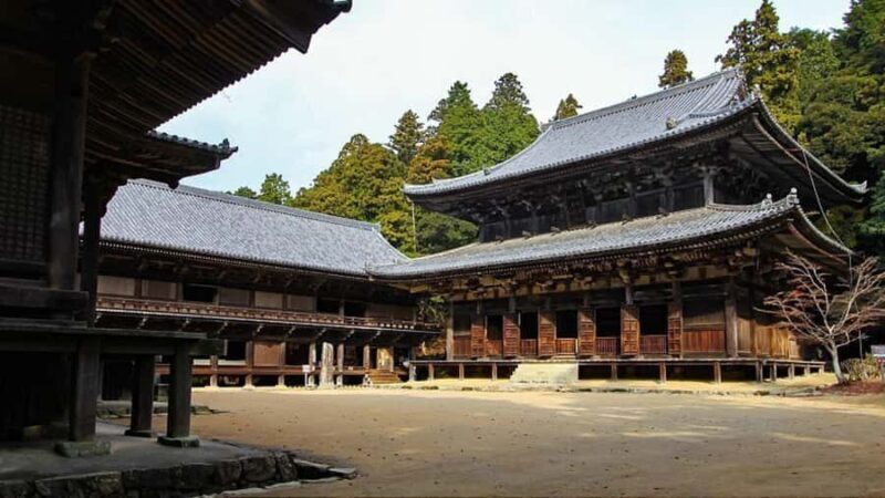 Osaka: Mount Koya & Nachi Waterfalls Day Trip with Guide - Deep Dive: The Experience Breakdown