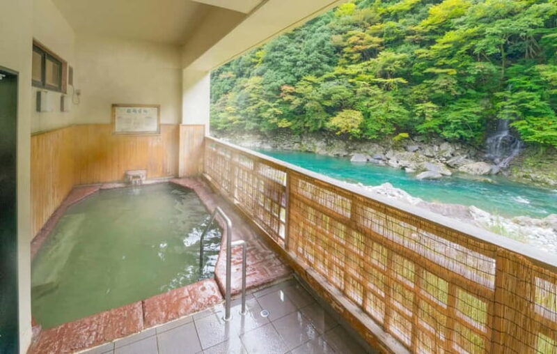 Osaka-Nara: 2-Day Discovery Pass - Who Should Consider This Pass?