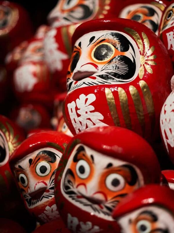 Osaka Nara & katsuo-ji: private Guided tour with Transport - Practical Tips for Participants