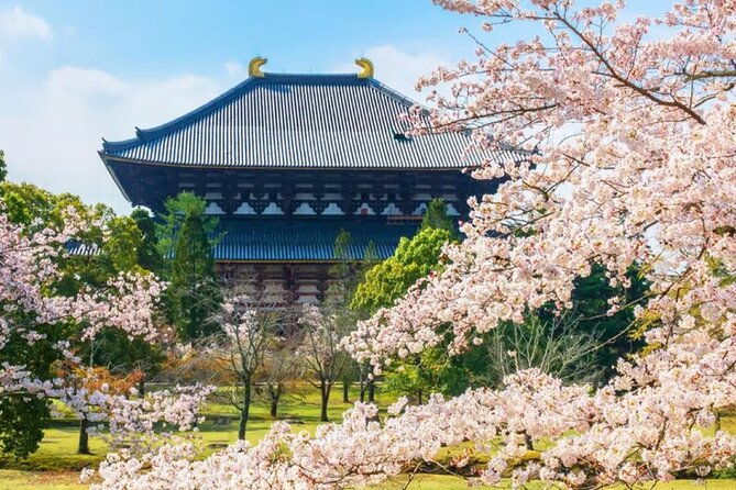 osaka-nara-todaiji-uji-matcha-and-hot-spring-tour-2