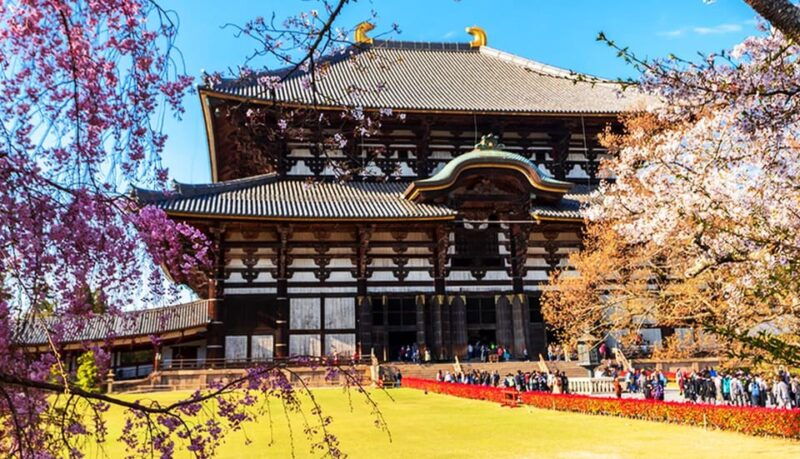 osaka-nara-todaiji-uji-matcha-and-hot-spring-tour