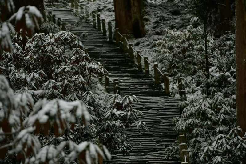 Osaka: Naras Hidden-gem Temples, Art Forest Day Tour - Key Points