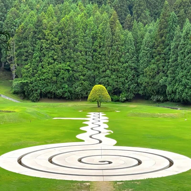 Osaka: Naras Hidden-gem Temples, Art Forest Day Tour - Practical Details & What You Should Know