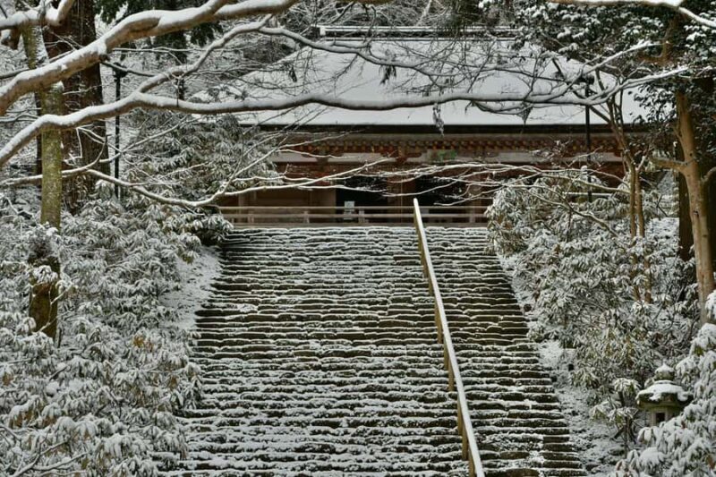 Osaka: Naras Hidden-gem Temples, Art Forest Day Tour - The Sum Up: Is This Tour Right for You?