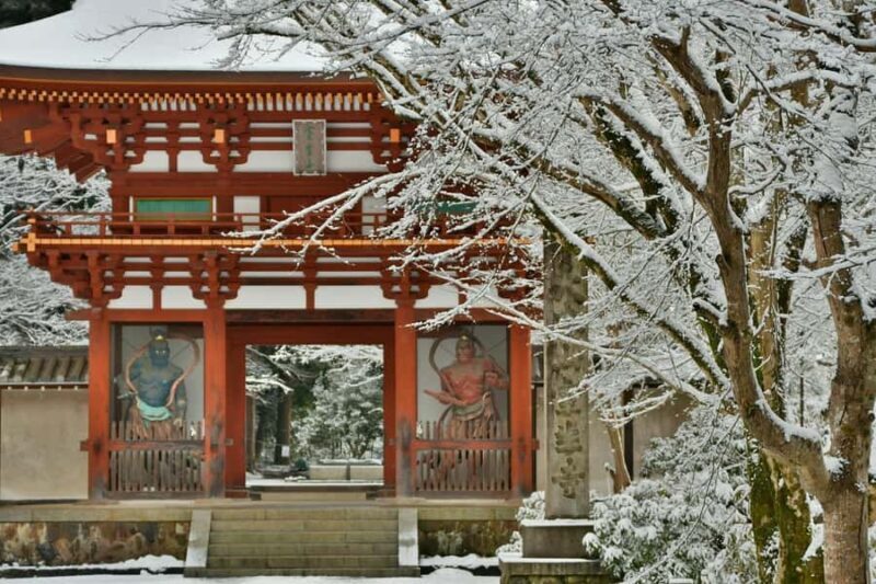 Osaka: Naras Hidden-gem Temples, Art Forest Day Tour - FAQ