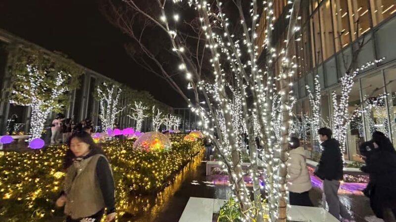 Osaka Night Tour: Hidden Alleys & Local Streets - The Value of This Tour for Different Travelers