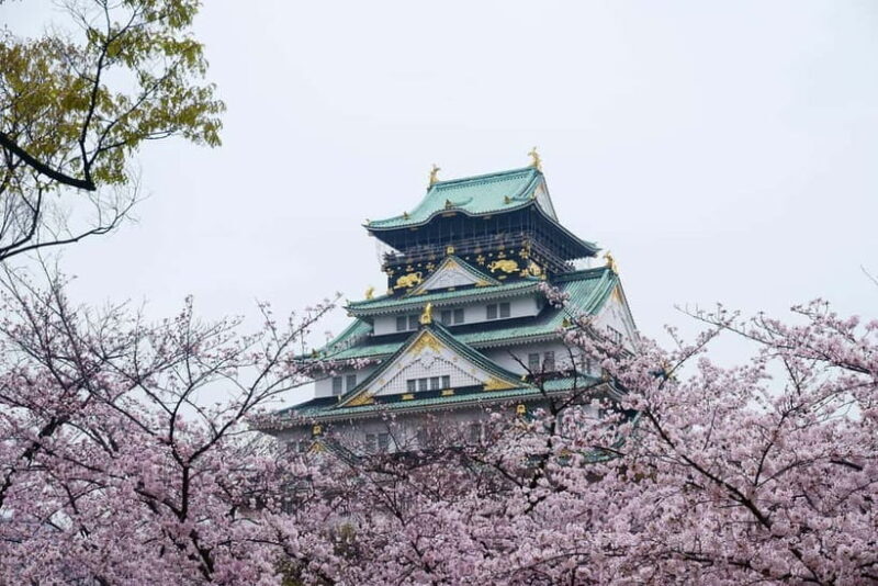 Osaka: Osaka Castle 3 hours Historical Walking Tour - A quick look at the experience