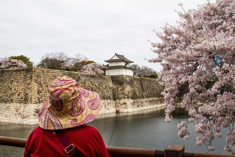 Osaka: Osaka Castle 3 hours Historical Walking Tour - Key Points