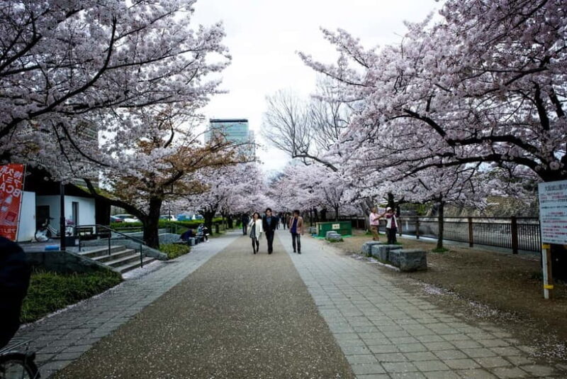 Osaka: Osaka Castle 3 hours Historical Walking Tour - What travelers find most valuable