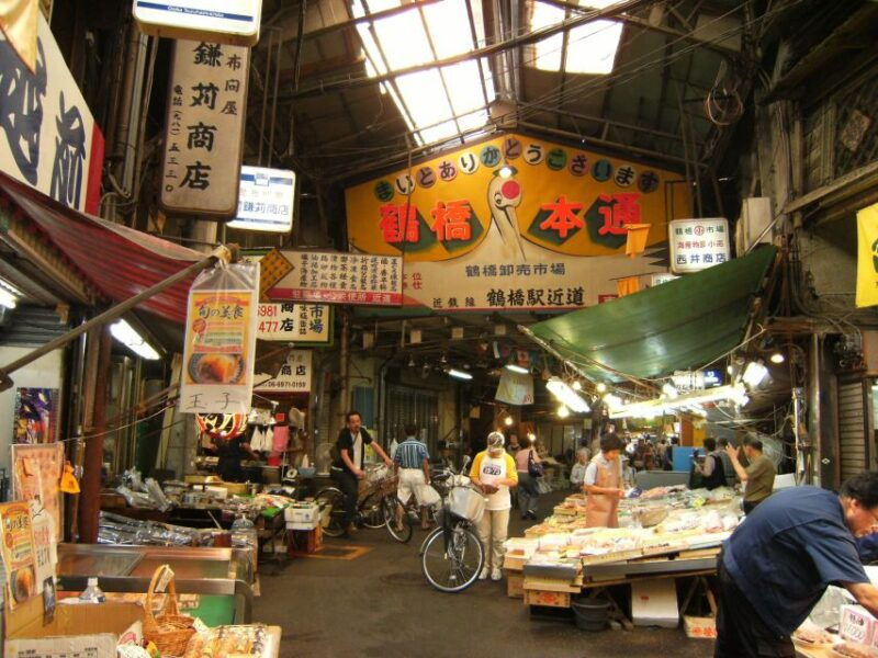 osaka-osaka-castle-tsuruhashi-tennoji-spanish-guide