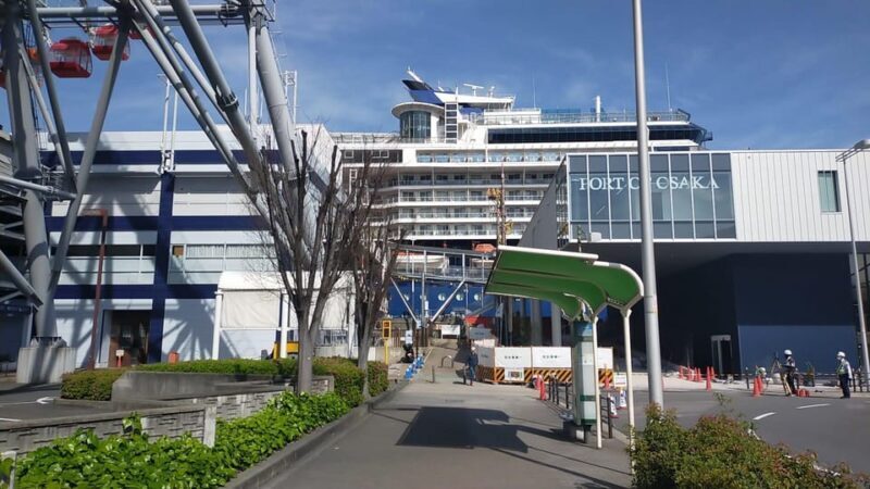 Osaka: Private 4/5/6h Tour For Cruise Ship Passengers - Key Points