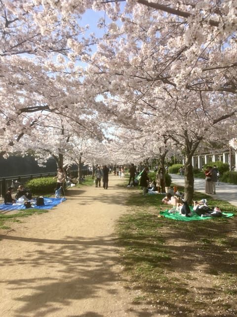 Osaka: Private and Fully Customized Tour with Hotel Meet Up - Key Points