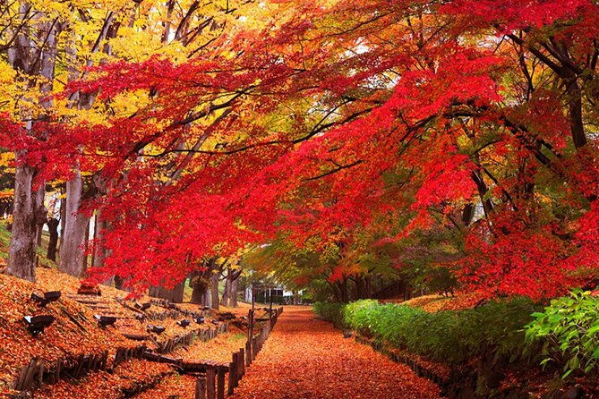 osaka-private-charter-tour-miyama-amanohashidate-uji-routes