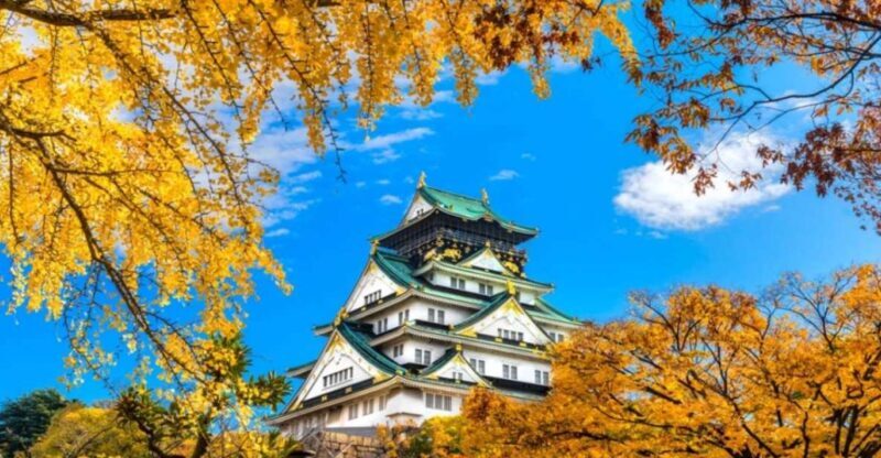 Osaka: Private Customizable Day Tour with Hotel Transfer - Is This Tour Right for You?
