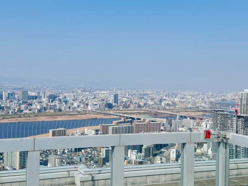 Osaka: Private Full Day City Highlights Car Tour - Who Will Love This Tour?