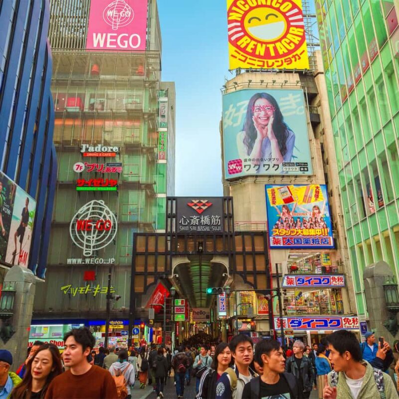 Osaka: Private Full-Day Tour with Pickup and Drop-Off - Who Will Love This Tour?