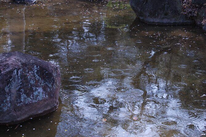 Osaka Private Tour of Shitennoji, Osakas Oldest Temple - Practical Details and Tips