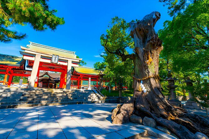 Osaka Private Tour with English-Speaking Driver - FAQ