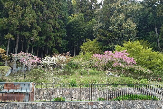 osaka-river-rapids-hike-and-natural-hot-spring-tour