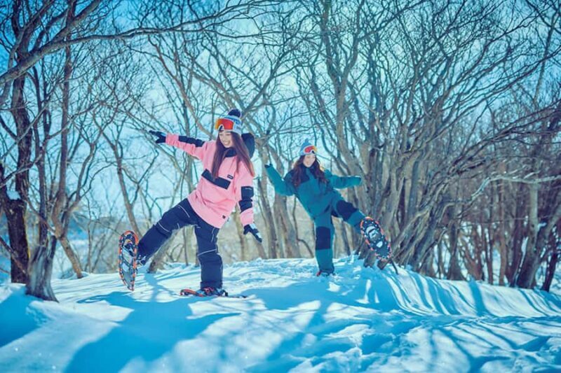 Osaka: Shiga Biwako Valley Winter Ski Day Tour opt lesson - Exploring Biwako Valley: What to Expect