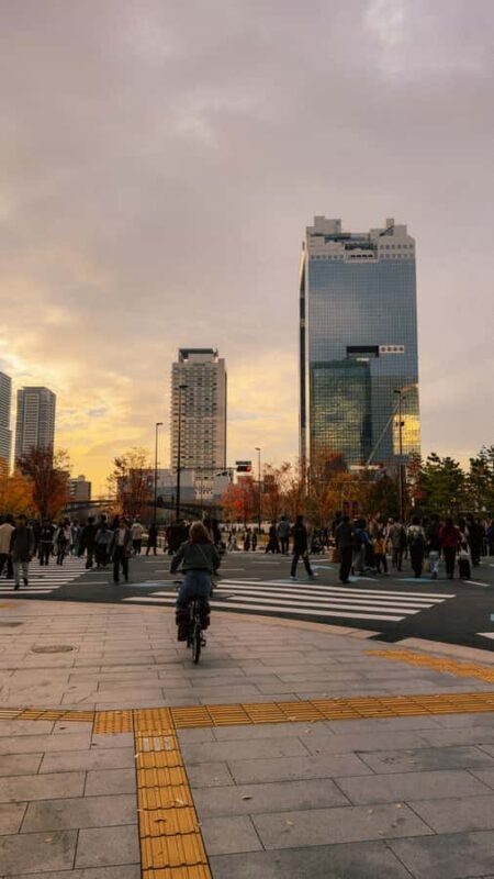 Osaka Sightseeing ,Hidden Gems with Luxury Vehicle &English - Who Would Love This Tour?