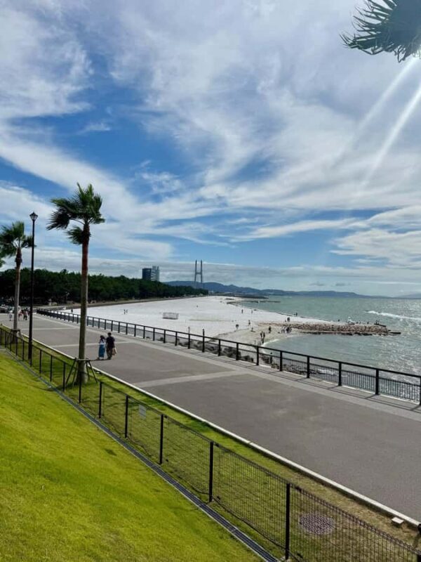 Osaka South Day Trip: History, Seafood, Shopping & Sweets - A quick introduction to the tour