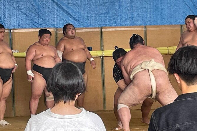osaka-sumo-morning-practice-watching-experience