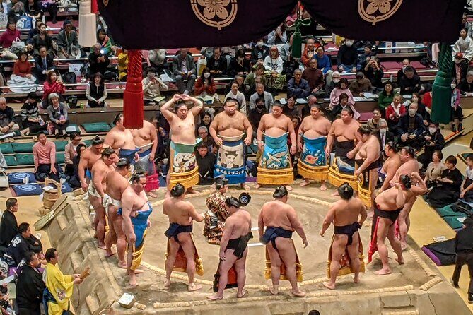 Osaka Sumo Tournament Entry Ticket and Guided Tour - Key Points