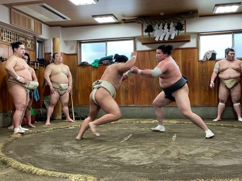 Osaka: Sumo Wrestling Real Practice Viewing Guided Tour - An In-Depth Look at the Osaka Sumo Practice Viewing Tour