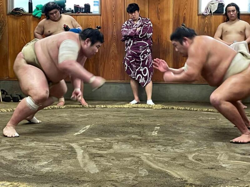 Osaka: Sumo Wrestling Real Practice Viewing Guided Tour - The Value of This Sumptuous Cultural Encounter