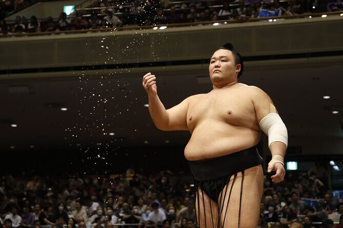 Osaka Sumo Wrestling Tournament Experience with Chair Seat Ticket - The Sum Up: Who Should Book This Tour?