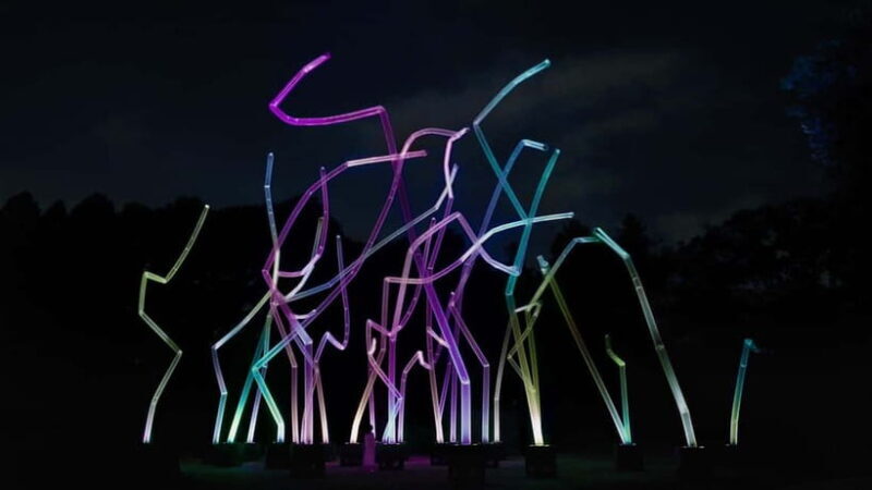 Osaka: teamLab Botanical Garden Entry Ticket - Key Points