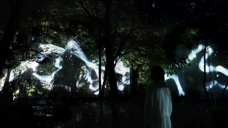 osaka-teamlab-botanical-garden-entry-ticket