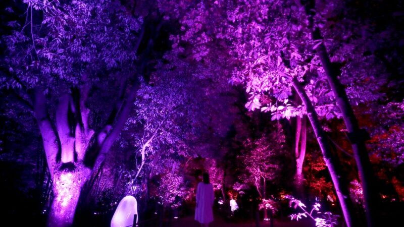 osaka-teamlab-botanical-garden-entry-ticket