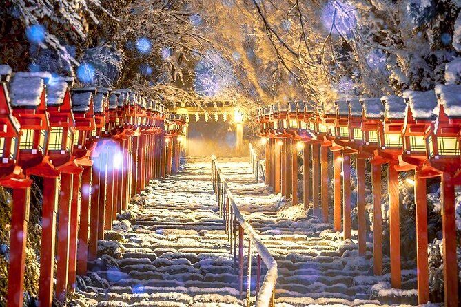 Osaka to Kyoto Arashiyama Bamboo Grove Small Group Tour - An In-Depth Look at the Kyoto to Osaka Bamboo Grove Tour