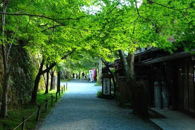 Osaka to Kyoto Arashiyama Bamboo Grove Small Group Tour - The Sum Up