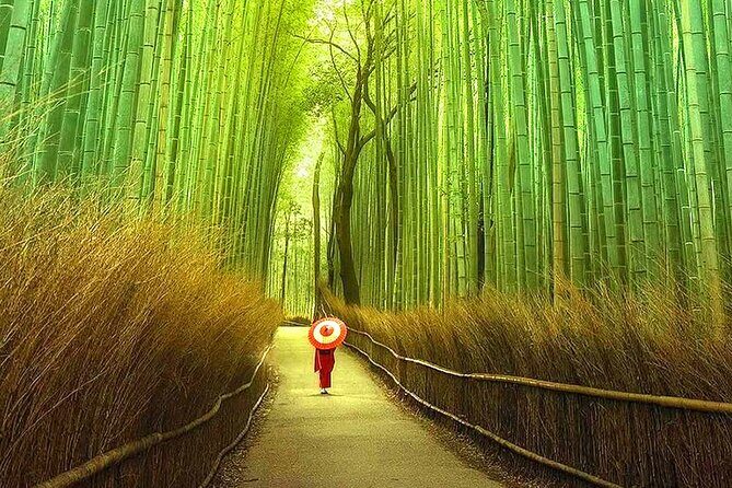 Osaka to Kyoto Arashiyama Bamboo Grove Small Group Tour - FAQ