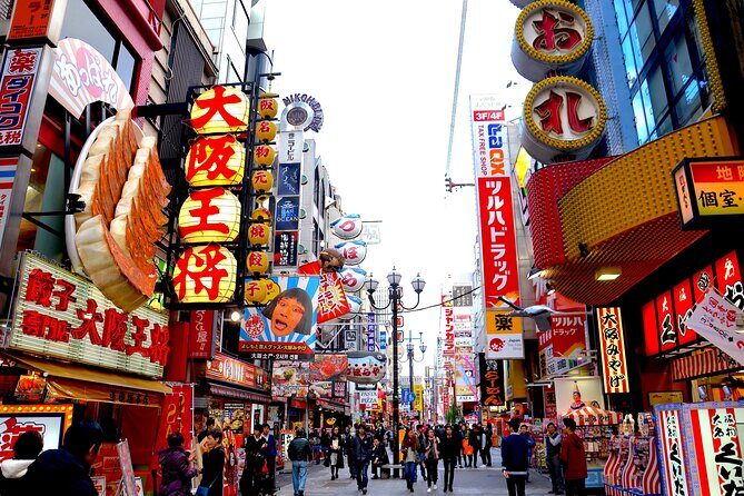 Osaka to Tokyo Multi Day Tour - Who Should Consider This Tour?