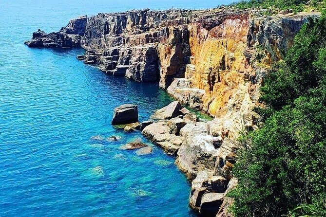 Osaka to Wakayama, Japan One-Day Chartered Tour - A Deep Dive into the Experience