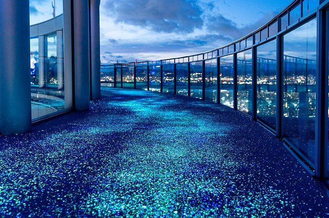 Osaka Tourist Attractions Pass 30+ Tourist Sites - Who Should Consider This Tour?